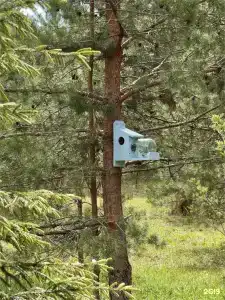 Ивашнёво - 39