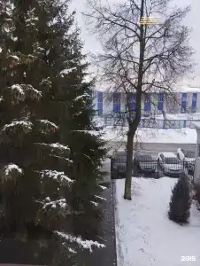 Визит - 3