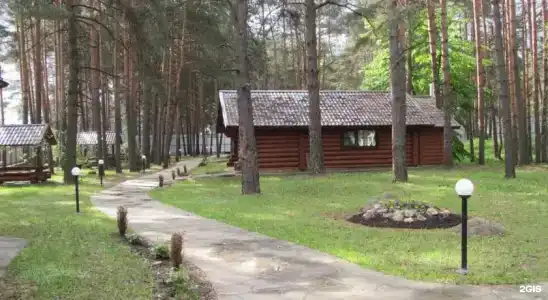 Сосновый бор - 5