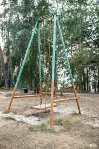 Сосновый бор - 20