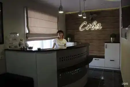 Сова - 22