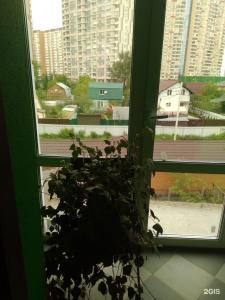 Гостевой дом Некрасовка 860 - 14