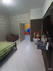 Эвкалипт - 48