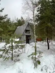 Избушка в лесу - 1