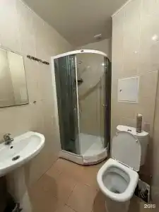 Ока - 43