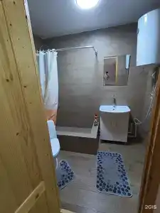 Эвкалипт - 28