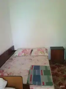 Под пальмой - 54