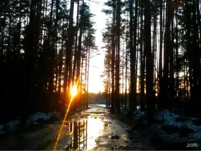 Valday ЭКО Life - 113