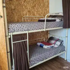 ЖивиТут - 22