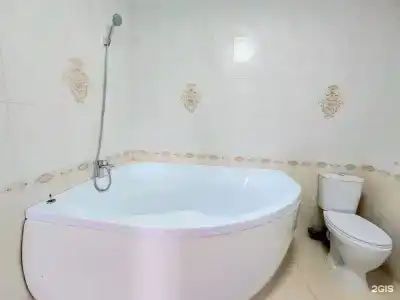 Сакура - 17