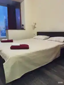 Снегири - 19