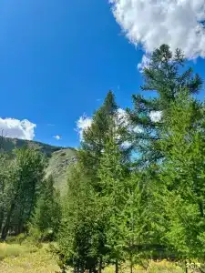 Софийская поляна - 38