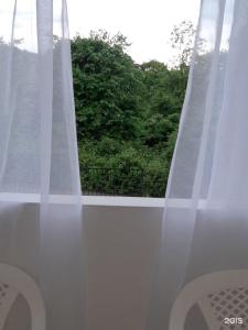  дом «Albatross - 60