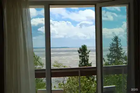 Репинская - 65