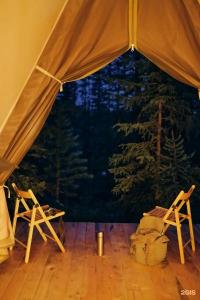 Мир Алтай - 113