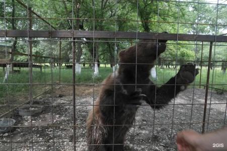 Беной Тревел Озеро - 36