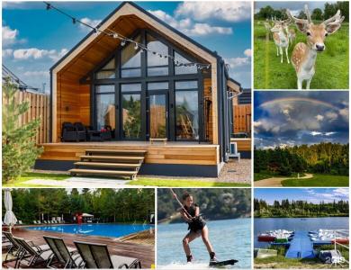 Чайный Дом - 74