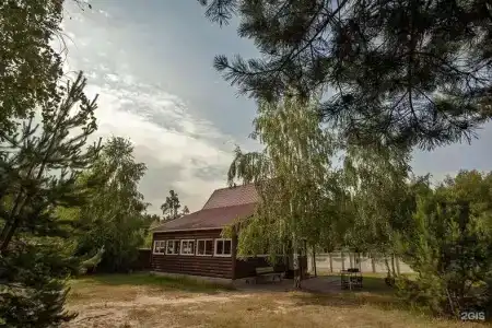 Кукушка - 12