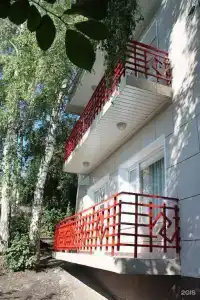 Рыжий пес - 2