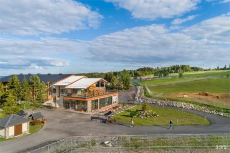 Черные камни - 121