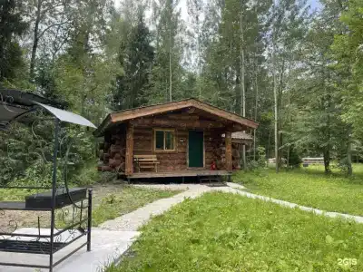 Дубки - 206