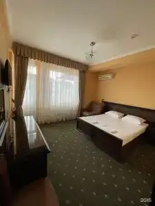 Пальма - 2