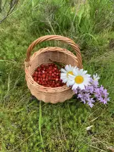 Хутор Залесье - 105