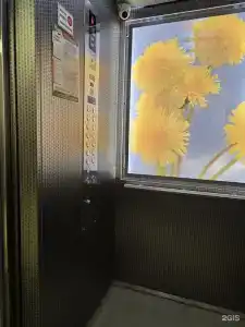 Popcorn - 22