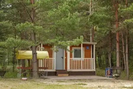 Кукушка - 138