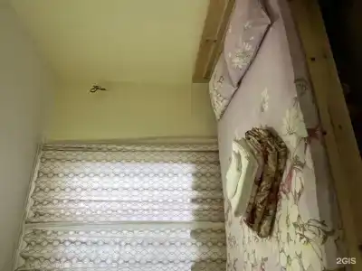 Мушмула - 23