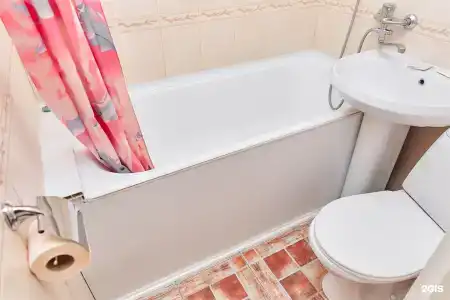 Сосновый бор - 170