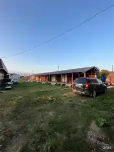 И поэтому все так произошло на озере Горькое - 0