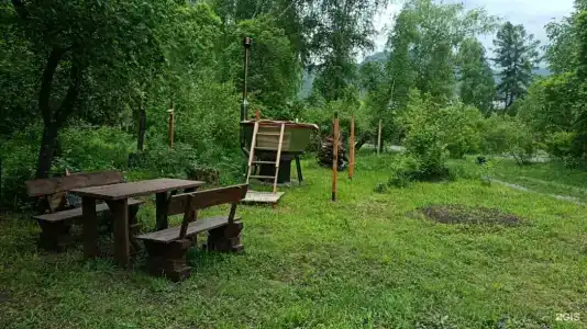 Барс - 86