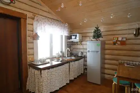 Дикий Гусь - 22