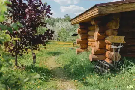 Дубки - 167