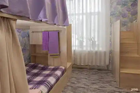Сова - 98