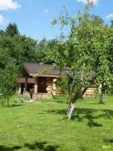 Дубки - 168