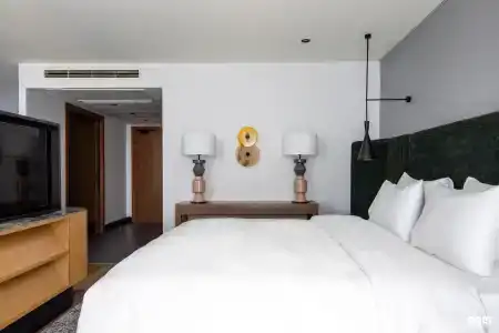 Radisson Blu Hotel - 19