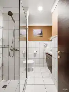 Заречный SGH - 19