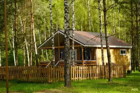 Золотой Куркозель - 11