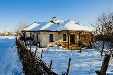 Мальвы - 103