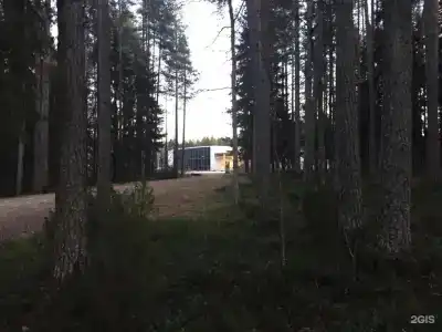 Оазис - 40