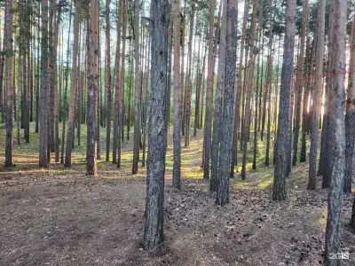 Свой берег - 14