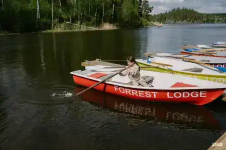 Forrest Lodge Karelia - 17