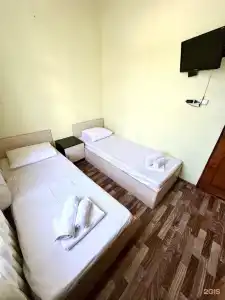 Пальма - 6