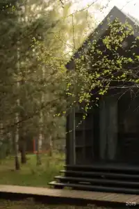 Дыши лесом - 63