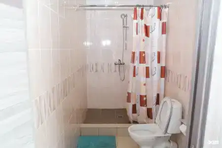 Хвойный - 49
