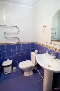 Аист - 108