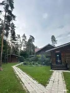Лесная гавань - 9
