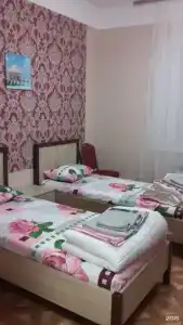 Азия - 110